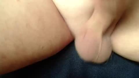 budddgardener online show from 30, 4, 2026