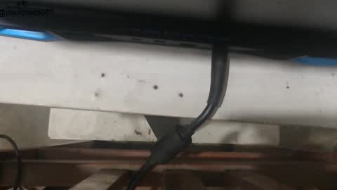 buldgeinboxer online show from 18, 1, 2026