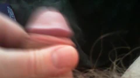 Snapshot of bullemoe chatting on 6, 3, 2026 bullemoe online show from 6, 3, 2026