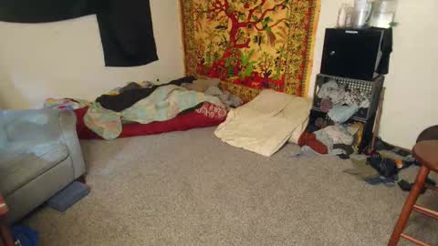 Shane online show from 15, 12, 2025