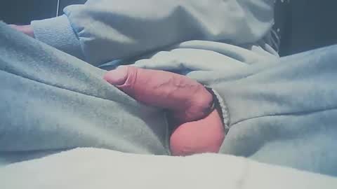 Dutch cock online show from 9, 1, 2025