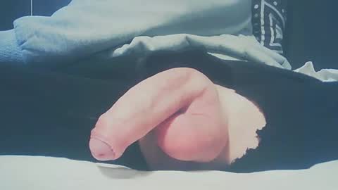 Dutch cock online show from 23, 2, 2025