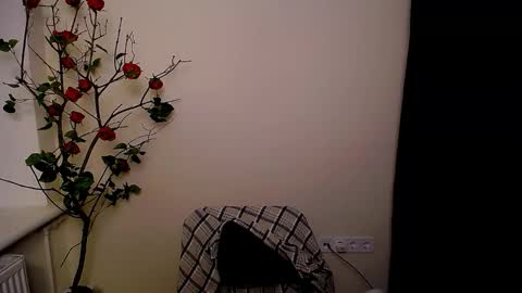 Ariel online show from 25, 3, 2026