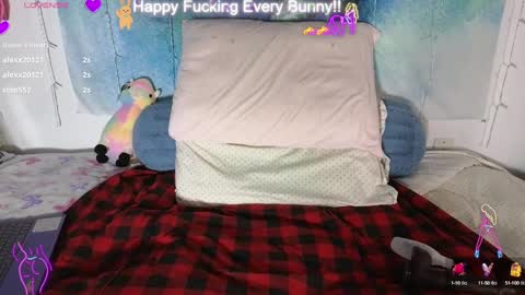 Snapshot of bunnycheekz chatting on 28, 1, 2025 Tokki  bunny  online show from 28, 1, 2025