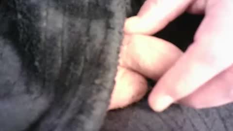 Hamish online show from 16, 3, 2026