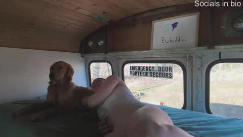 busbuddies online show from 16, 12, 2024