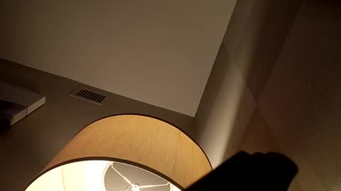 bushdoctor1 online show from 2, 12, 2024