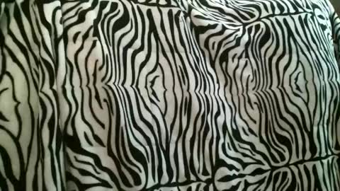 bustinfree online show from 22, 12, 2025