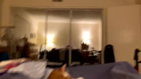 busty_2008 online show from 24, 2, 2026