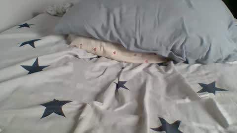 Jojo online show from 14, 4, 2026