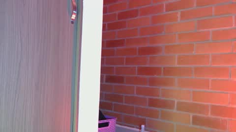 Mary  online show from 15, 2, 2025