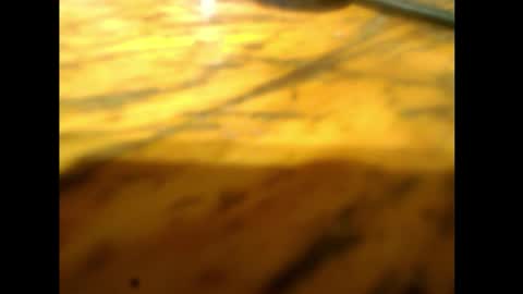 bzxxbzh online show from 15, 2, 2026