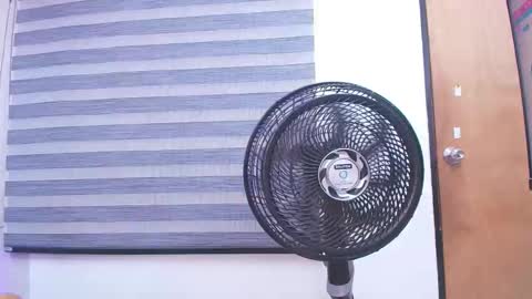 Carolina online show from 19, 2, 2025