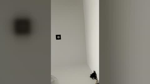 Snapshot of callme_arno chatting on 24, 6, 2026 Callme arno online show from 24, 6, 2026