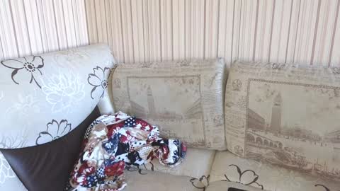 Snapshot of cameron_crowly chatting on 12, 1, 2025 Cameron online show from 12, 1, 2025