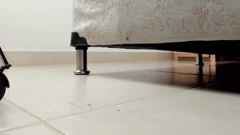 camii  online show from 13, 4, 2026