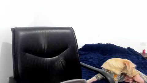 Cami online show from 12, 6, 2026
