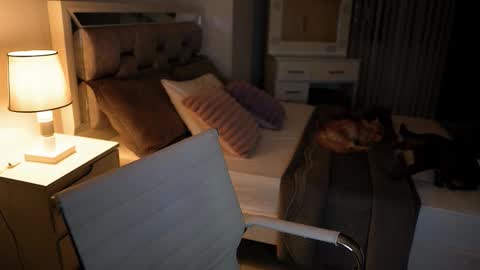 Snapshot of camila_buitrago chatting on 18, 11, 2025 Camila buitrago online show from 18, 11, 2025