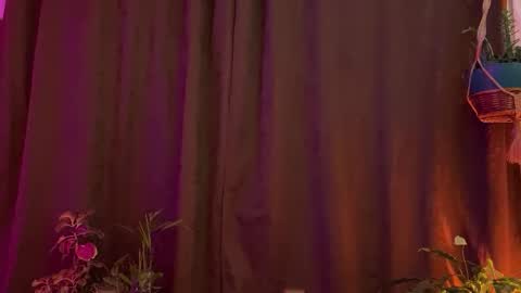  Camille   online show from 31, 3, 2026