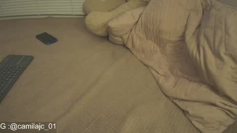 Snapshot of cammile_cole chatting on 21, 4, 2026 Laura Camila online show from 21, 4, 2026