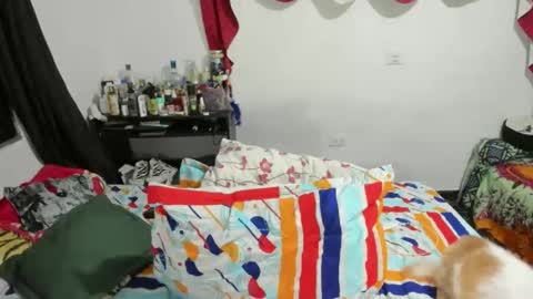 candlex  online show from 10, 2, 2025