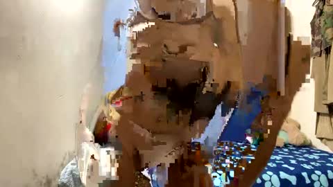 candy_abie online show from 3, 1, 2025