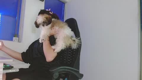 candy_giuliana21 online show from 17, 4, 2026