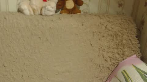 Snapshot of candylady136 chatting on 13, 12, 2024 say meow and send tip  online show from 13, 12, 2024