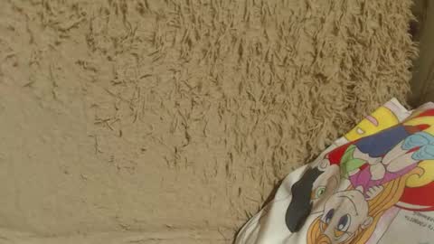 Snapshot of candylady136 chatting on 13, 2, 2025 say meow and send tip  online show from 13, 2, 2025