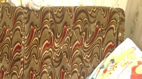 Snapshot of candylady136 chatting on 2, 3, 2025 say meow and send tip  online show from 2, 3, 2025
