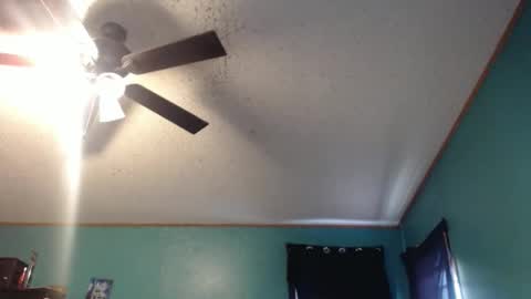 candyshop2024 online show from 17, 12, 2025