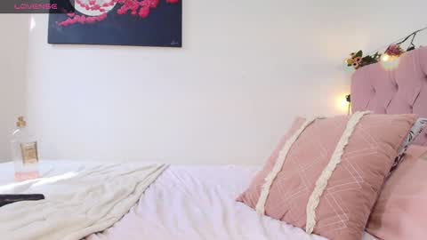 carolina online show from 19, 12, 2024