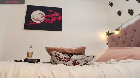 carolina online show from 19, 12, 2024