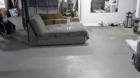 Carl online show from 4, 6, 2026