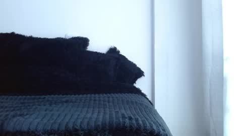 caroline online show from 1, 4, 2026