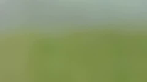 Caro online show from 24, 9, 2025