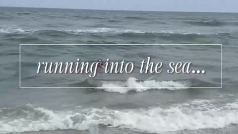 carrie madsin online show from 2, 12, 2025