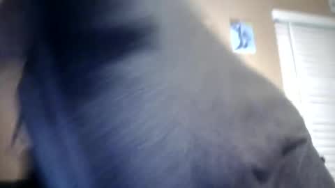 Snapshot of carsonlueders8775 chatting on 13, 1, 2025 carsonlueders8775 online show from 13, 1, 2025