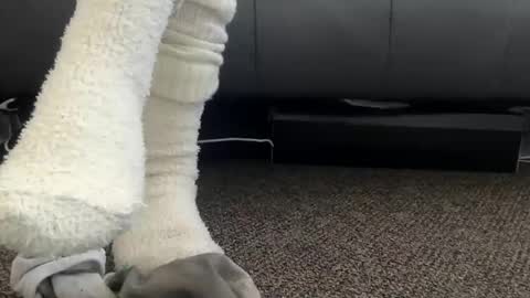 cash13bychanel online show from 5, 12, 2025