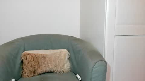 cassiecute - onlyfans account online show from 4, 7, 2026