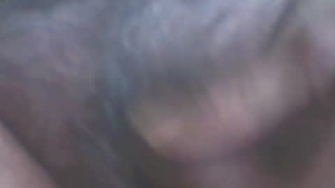 castells online show from 29, 9, 2025