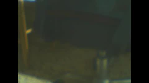 castells online show from 20, 10, 2025