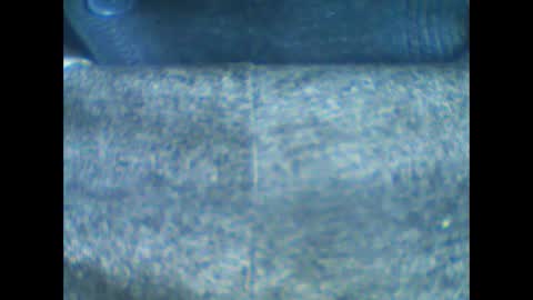 castells online show from 18, 1, 2026