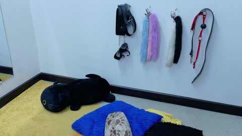 Cata online show from 21, 1, 2025