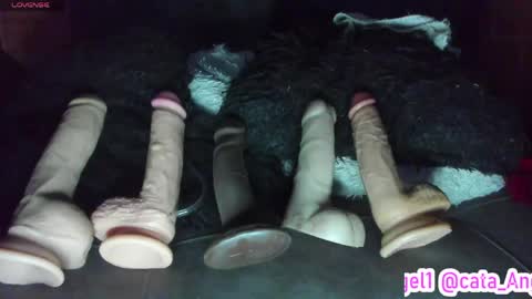 Snapshot of cata_angel1 chatting on 21, 4, 2026 Cata Angel online show from 21, 4, 2026