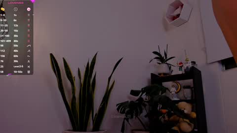 MACARENA online show from 6, 1, 2025