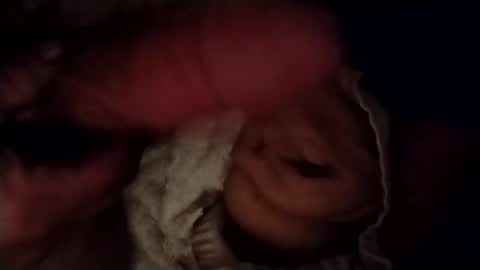 catdaddy179057 online show from 24, 2, 2026