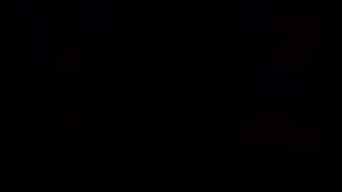 catfun3 online show from 8, 11, 2025