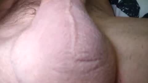 catkot912 online show from 19, 9, 2025