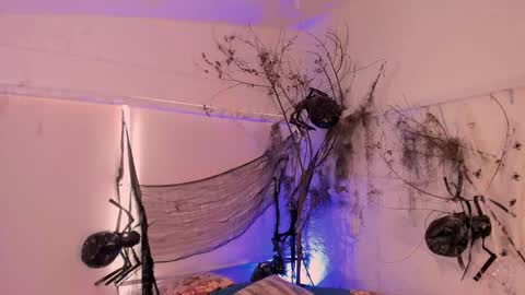 Catleya  online show from 1, 11, 2025